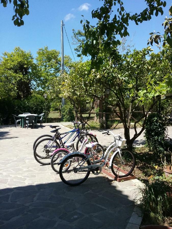 Country House L'Ippocastano Altavilla Silentina Ngoại thất bức ảnh